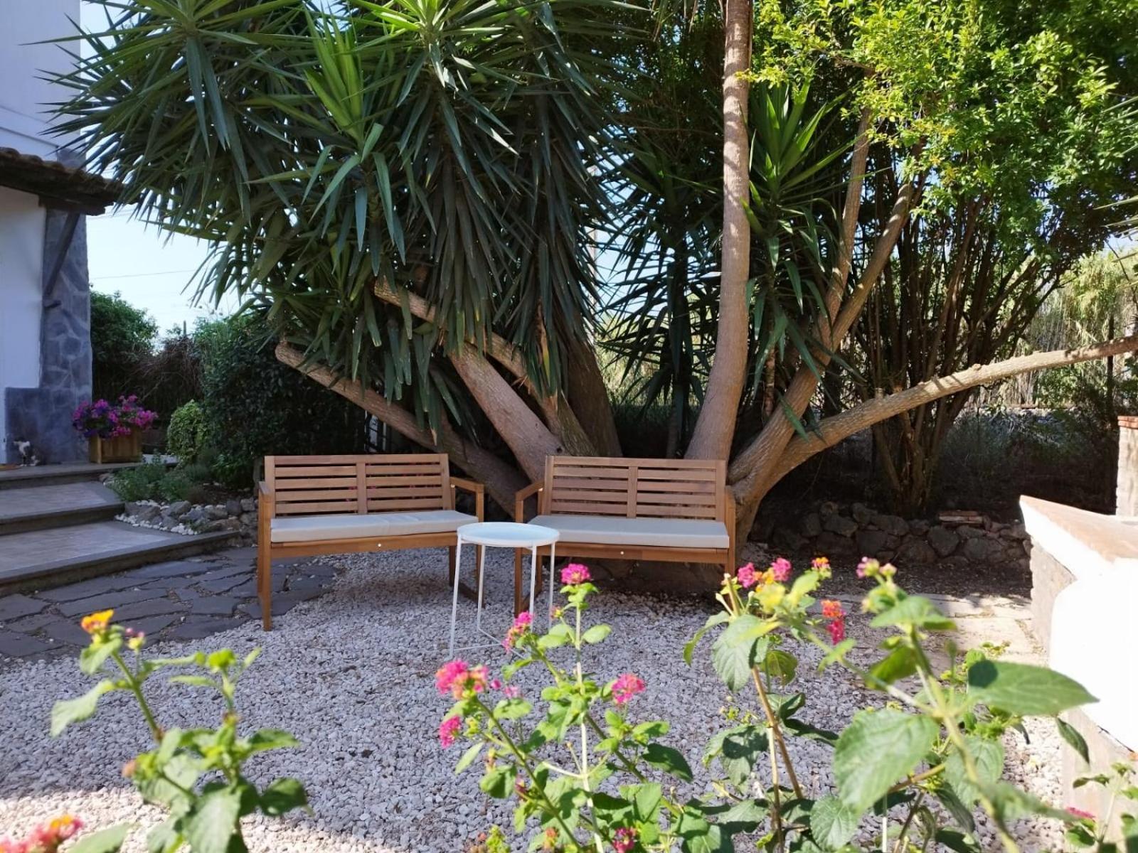 La Domus Di Cosa Bed & Breakfast Ansedonia Bagian luar foto